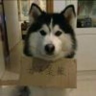 大海ovo