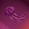 JammyJellyfish